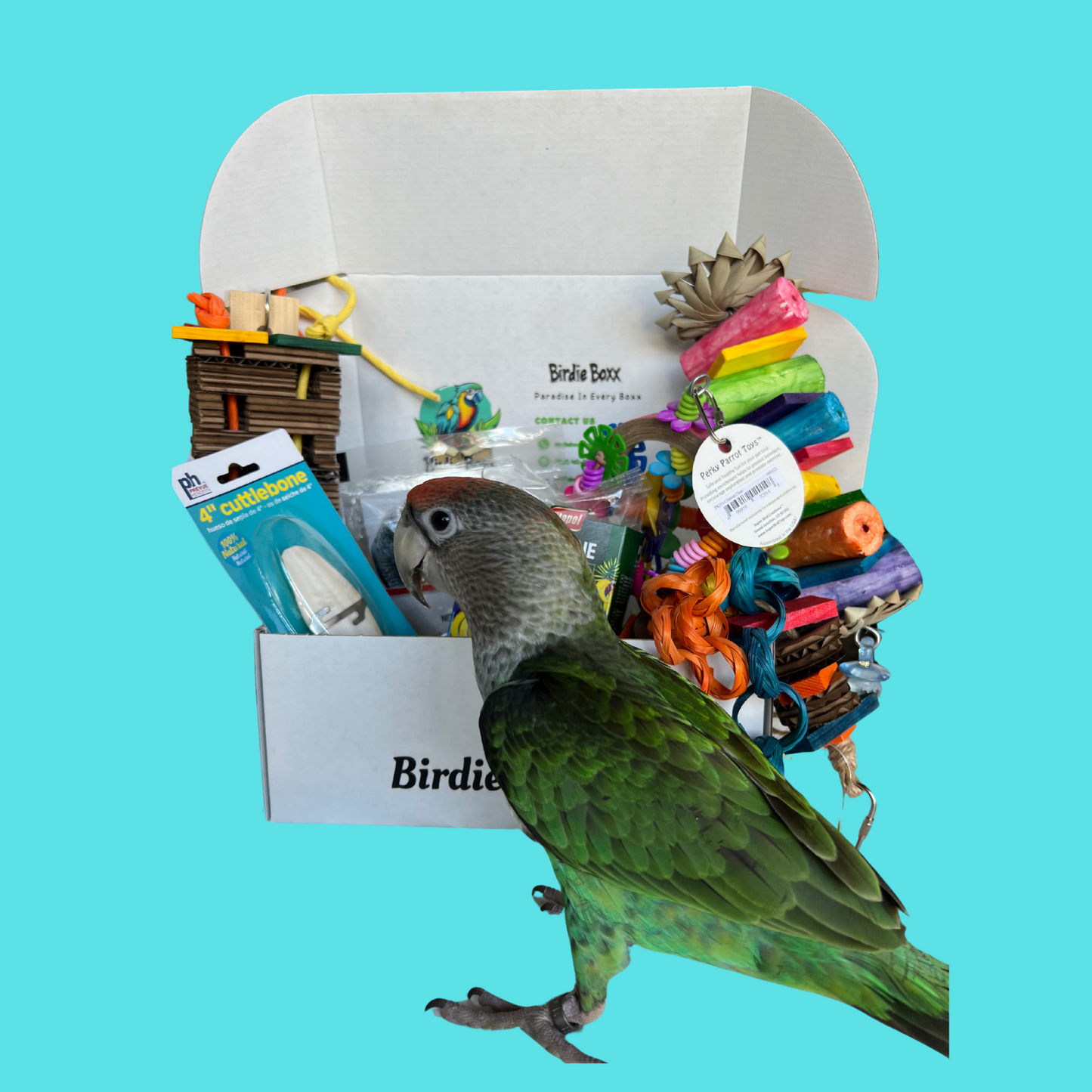 Large BirdieBox